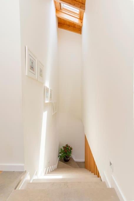 Casa Hortas Villa Vila do Bispo Dış mekan fotoğraf